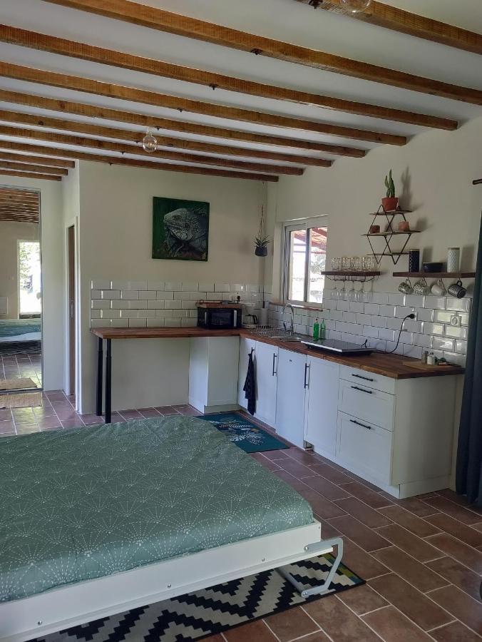 Chez Chapelle In The Heart Of The Gascony With Pool And Hot Tub Apartment Auch Exterior foto